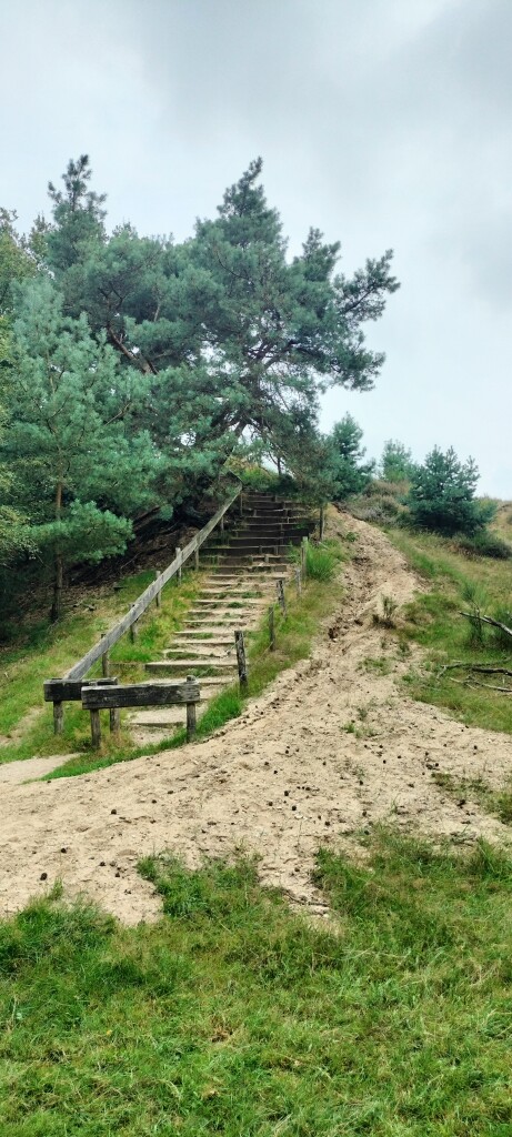 Airbornepad Market Garden - 23 · Airbornepad etappe 23