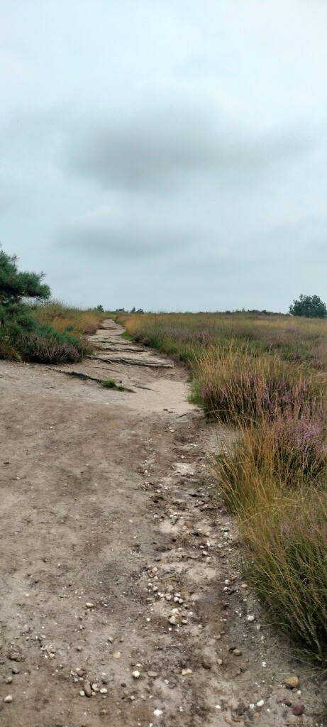 Airbornepad Market Garden - 23 · Airbornepad etappe 23