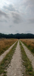 Airbornepad Market Garden - 23 · Airbornepad etappe 23