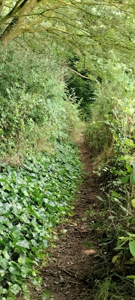 Airbornepad Market Garden - 24 · Airbornepad etappe 24