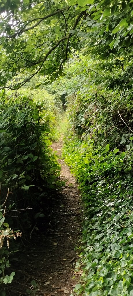 Airbornepad Market Garden - 24 · Airbornepad etappe 24