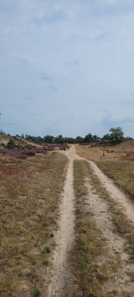 Diever - Appelscha · Drenthepad etappe 4