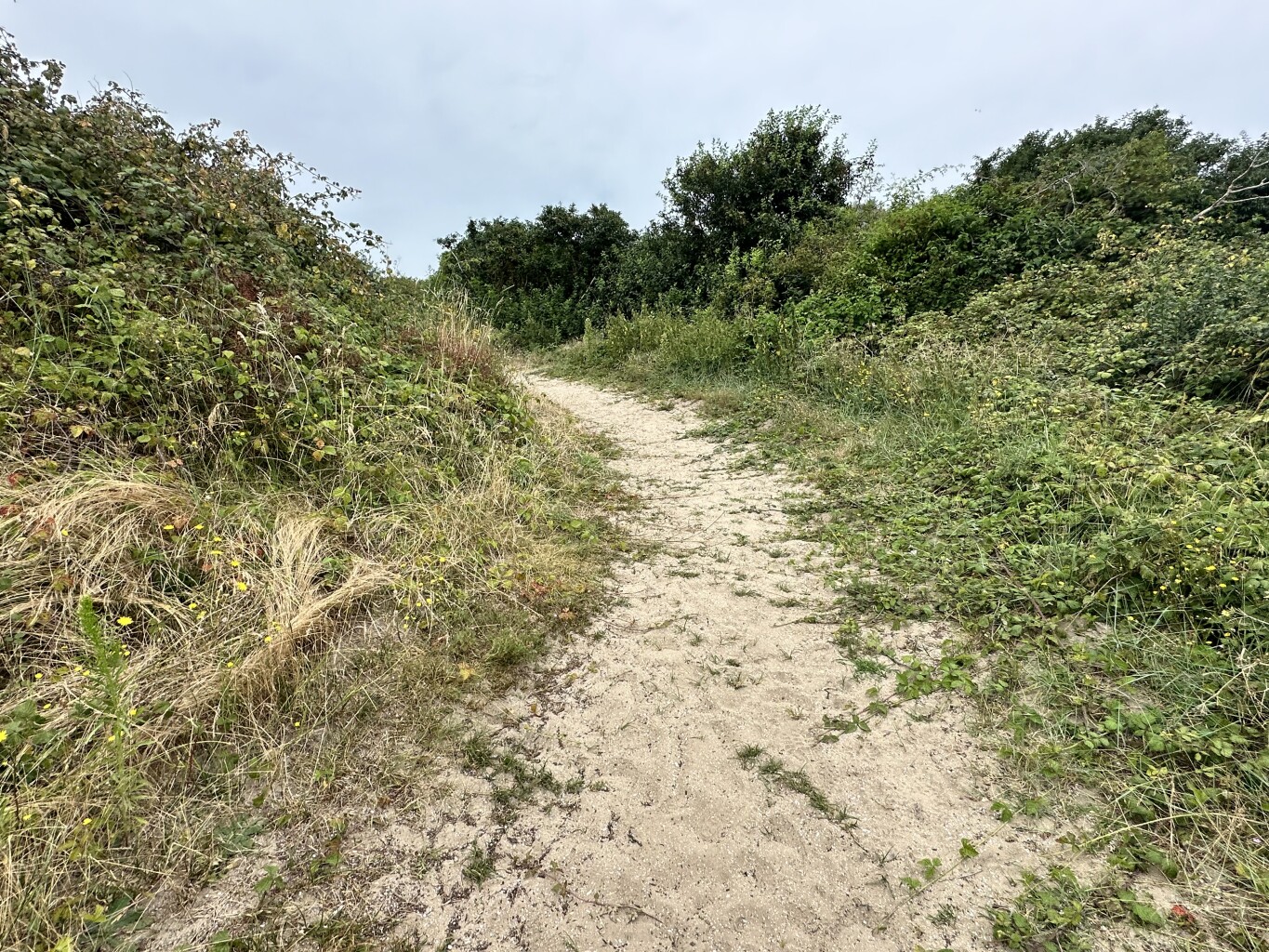 Brielle - Goedereede · Jacobsweg Die Haghe etappe 5