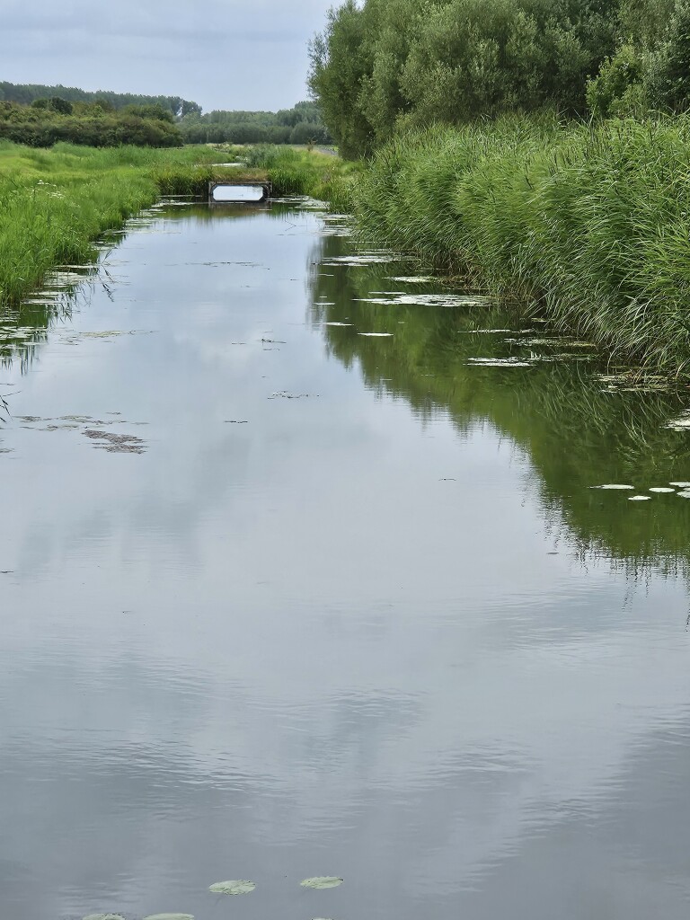 Zeedijk (Station Culemborg) - Station Culemborg · Betuwepad etappe 5
