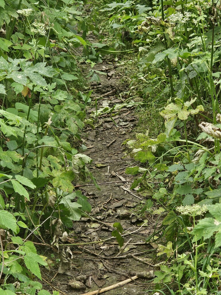 Zeedijk (Station Culemborg) - Station Culemborg · Betuwepad etappe 5