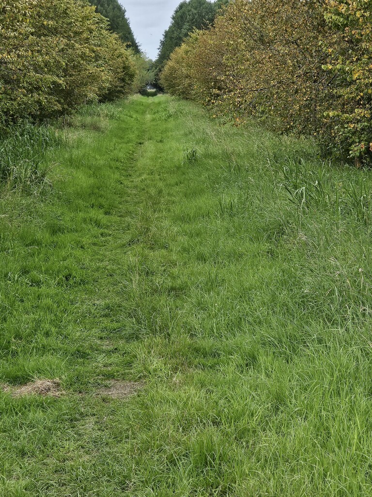 Zeedijk (Station Culemborg) - Station Culemborg · Betuwepad etappe 5