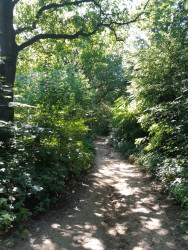Historische wandelroute Bergherbos