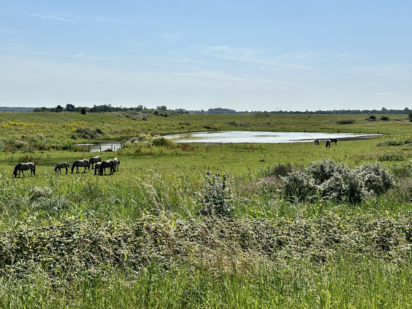 Renesse - Veere · Jacobsweg Die Haghe etappe 7