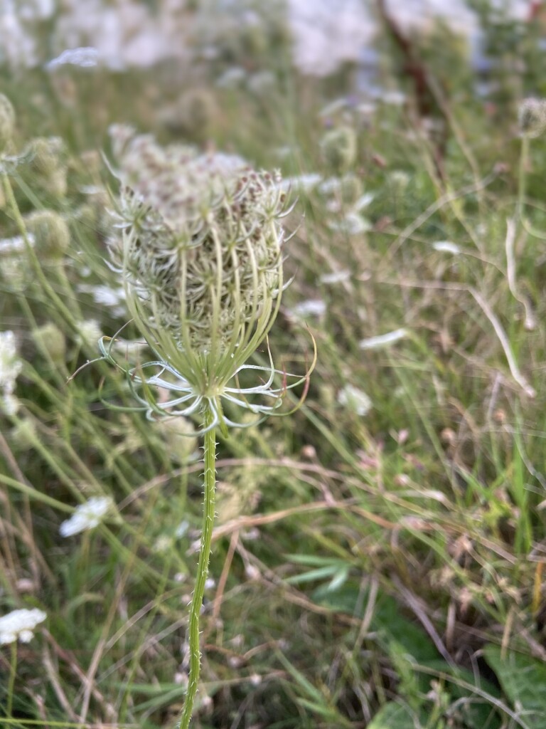Purmerend - Zuidoost  Beemster