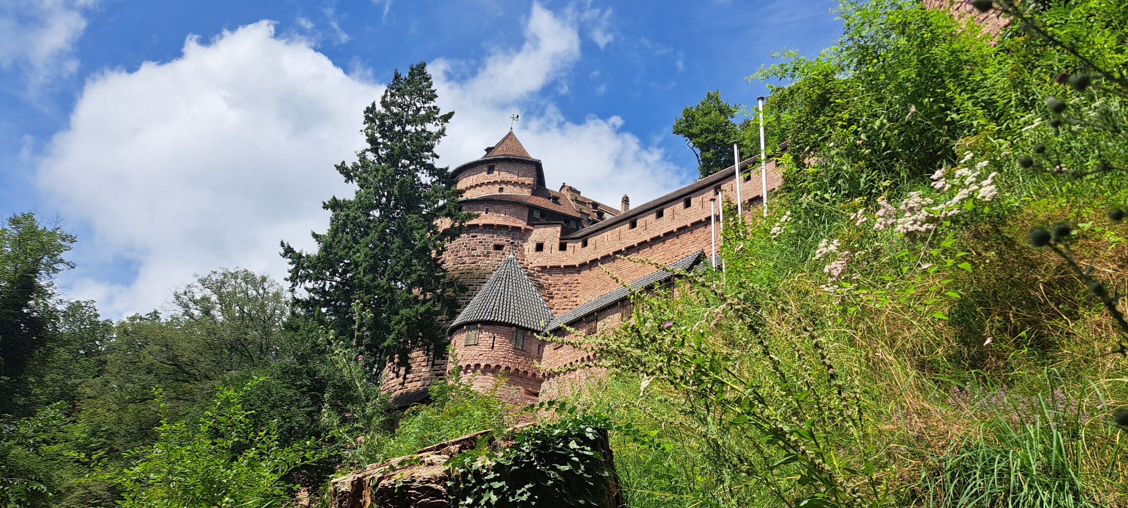 Scherwiller - Ribeauvillé · GR5 etappe 49