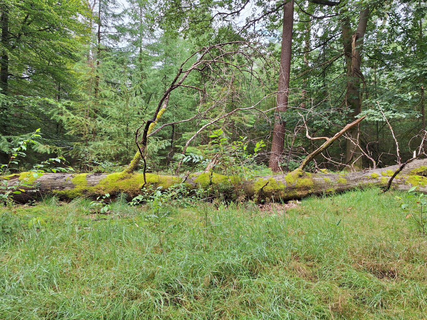 Wandelroute Spelderholt