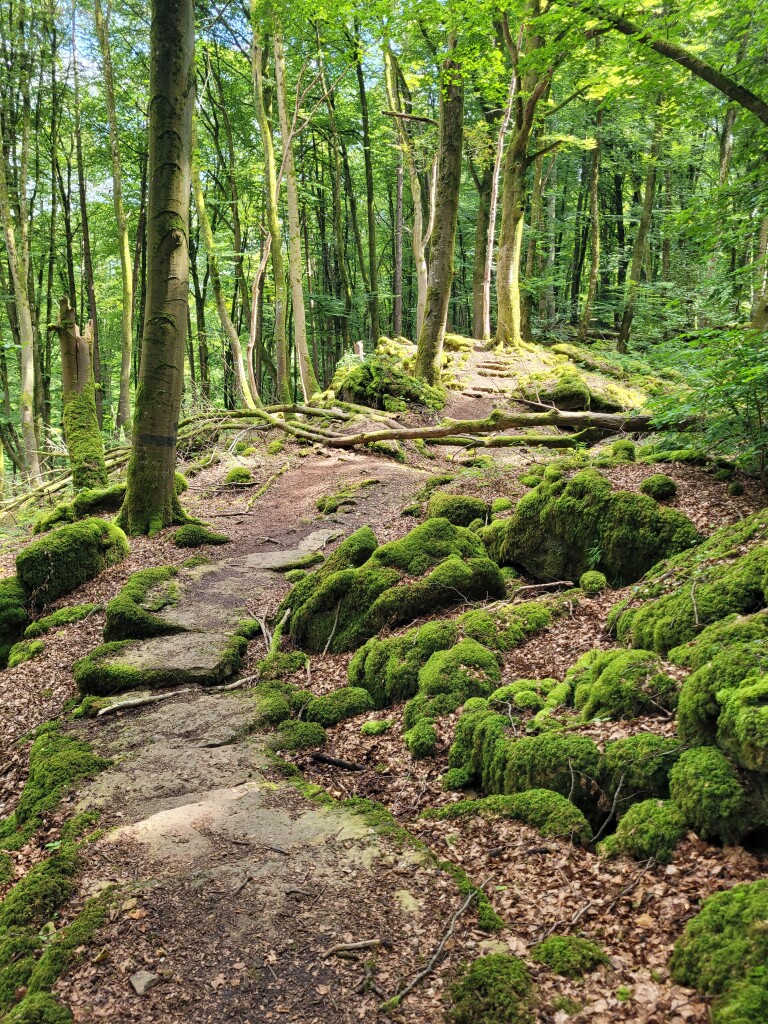 Echternach - Rosport · Mullerthal Trail etappe 1