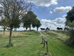 Vlissingen - Sluis · Jacobsweg Die Haghe etappe 9