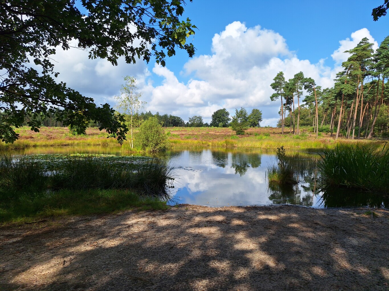Boswachterspad Cultuurroute 't Leesten
