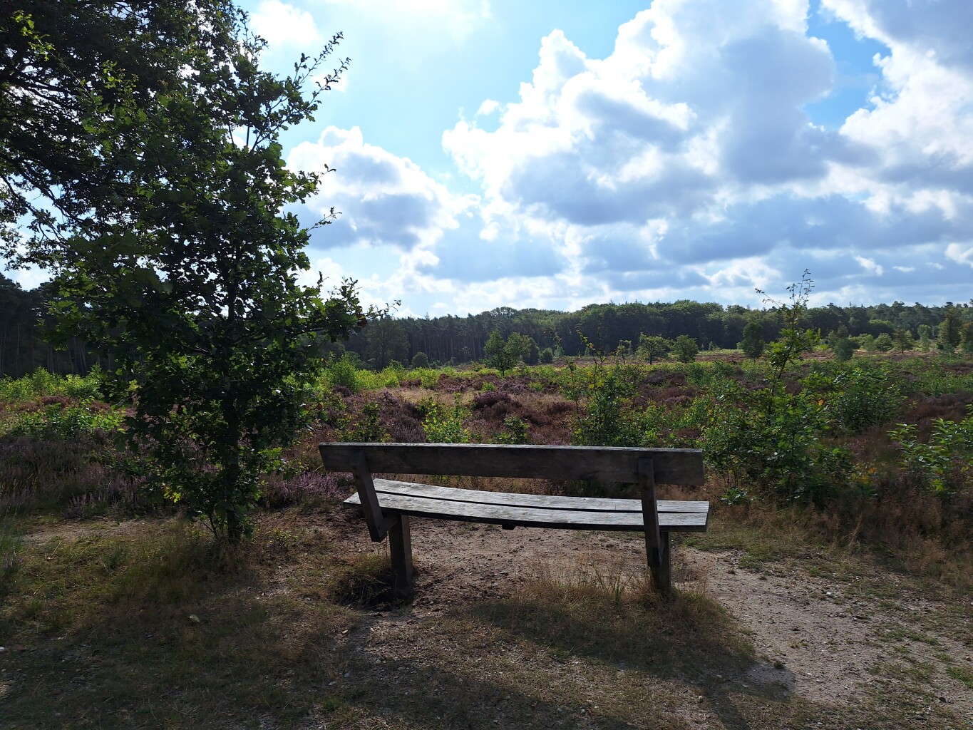 Boswachterspad Cultuurroute 't Leesten