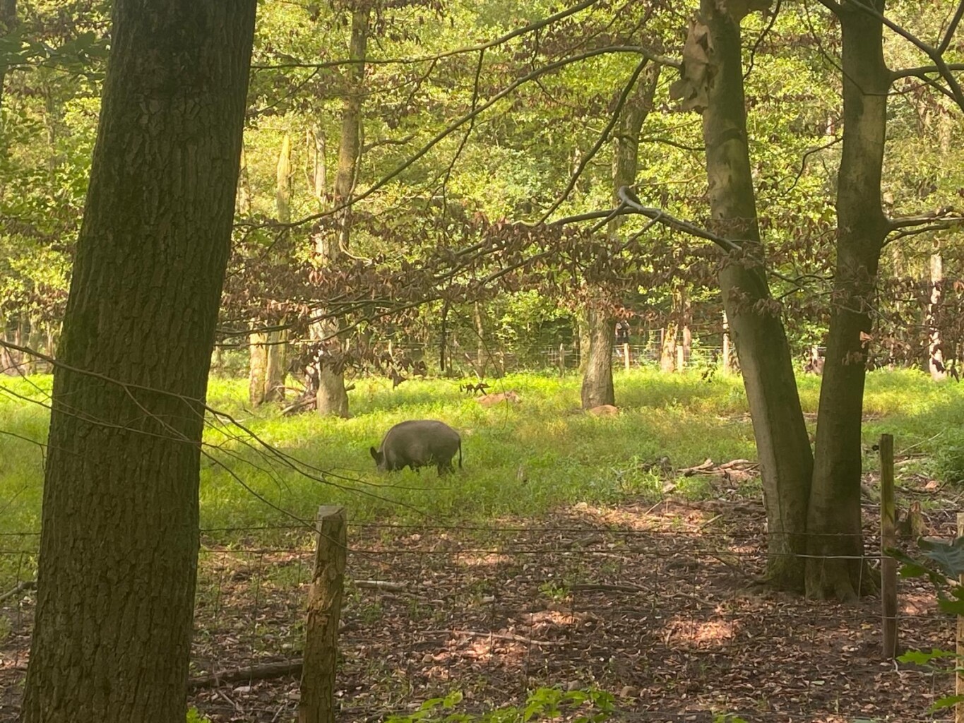 Winterswijk - Bocholt · Noaberpad etappe 18