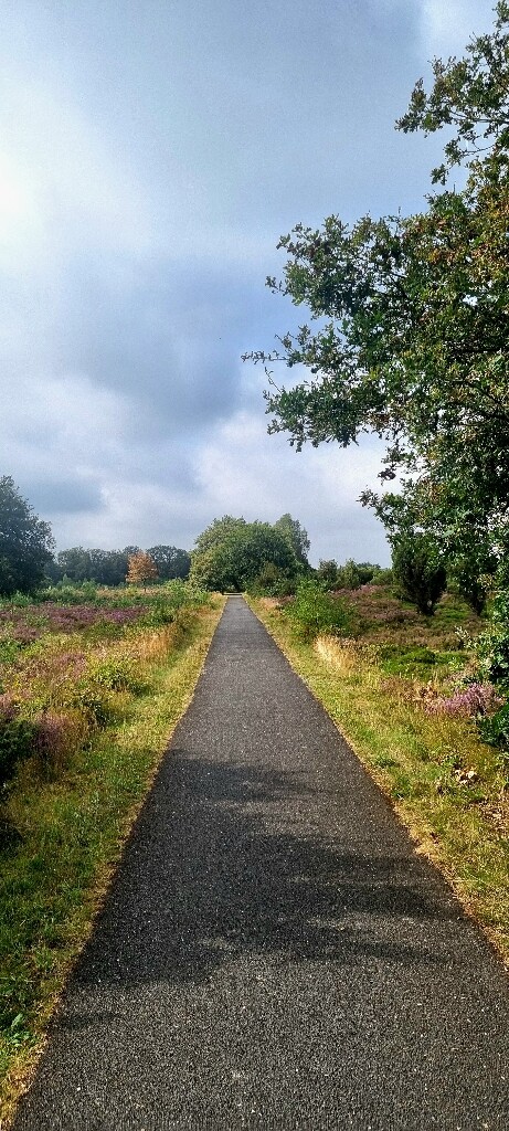 Beilen - Ruinen · Drenthepad etappe 1