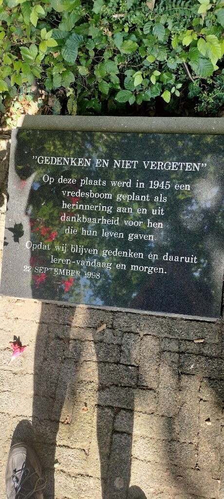 Airbornepad Market Garden - 27 · Airbornepad etappe 27