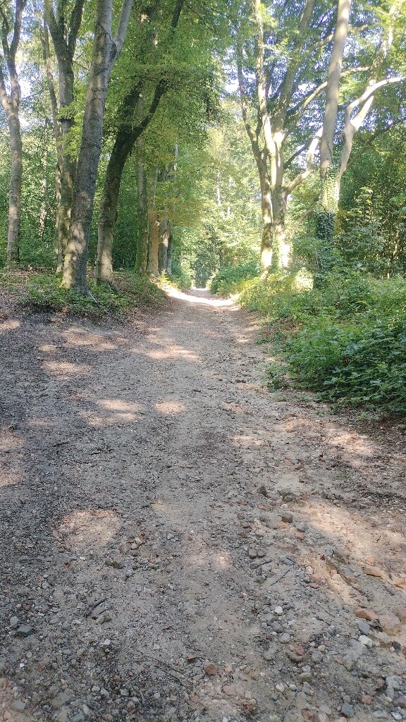 Airbornepad Market Garden - 31 · Airbornepad etappe 31