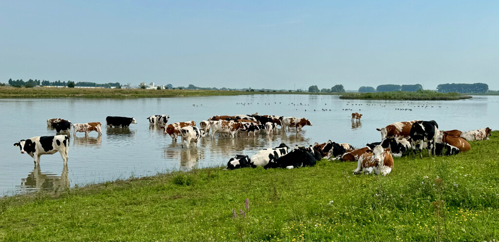 Wilhelminasluis (Giessen) - Ne · Pelgrimspad etappe 9