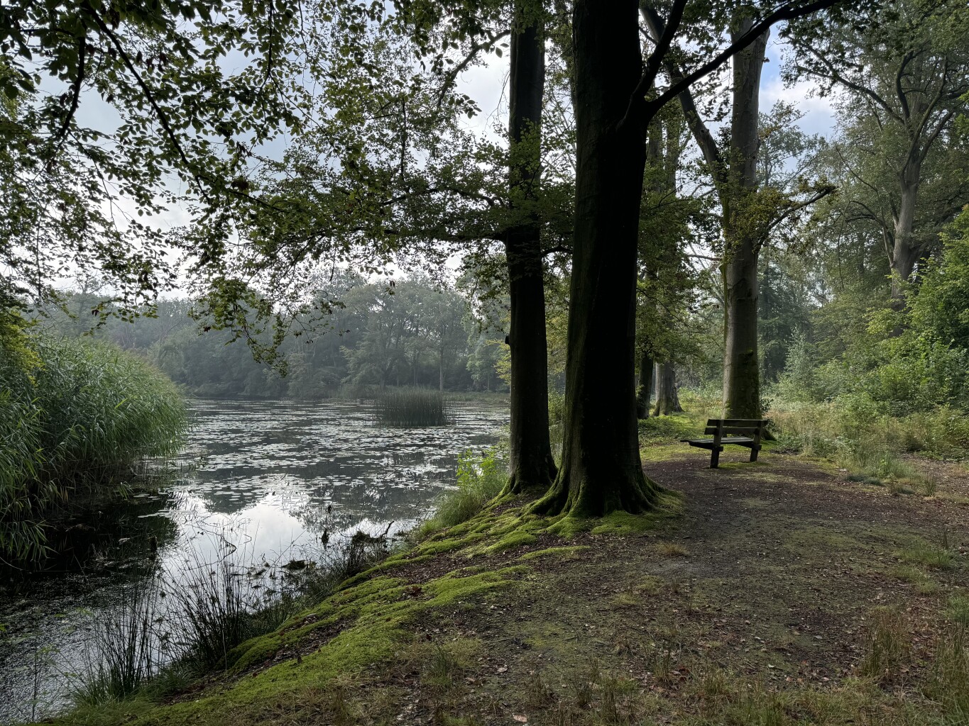 Vierbekenroute Dorth