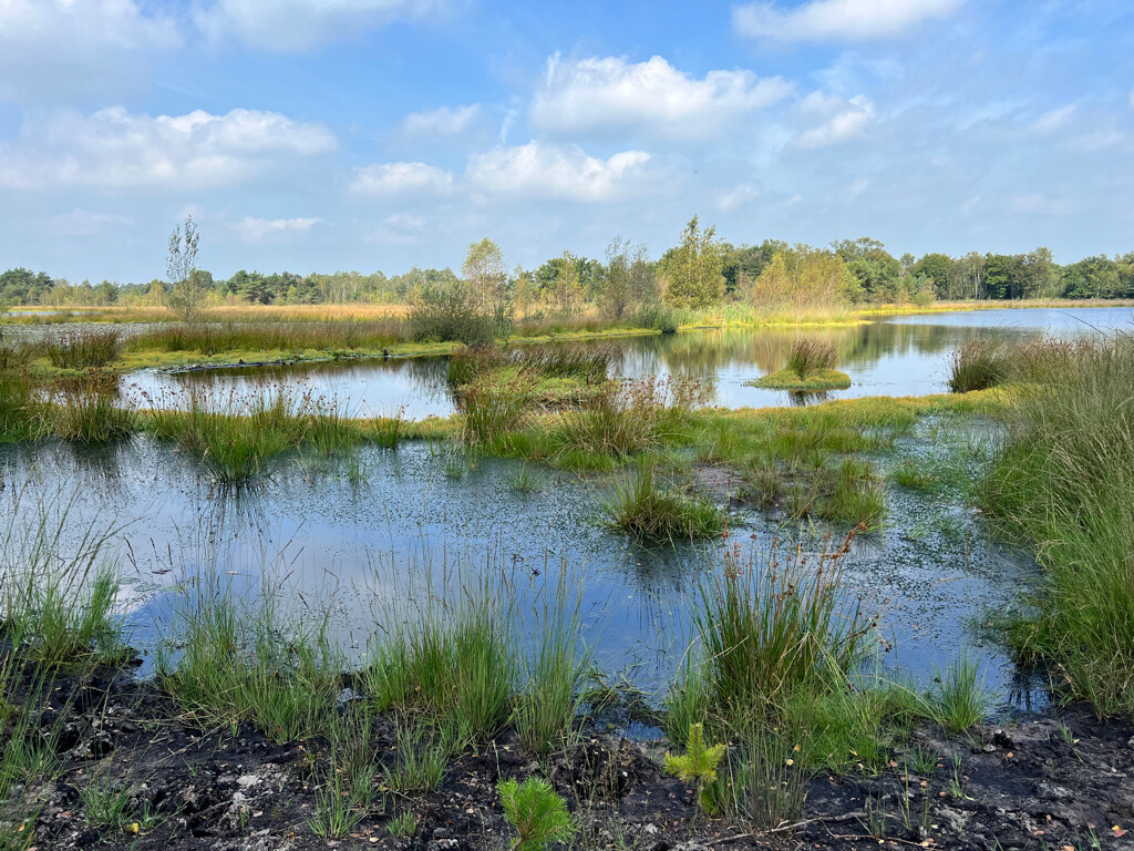 Oisterwijk - Boxtel · Brabants Vennenpad etappe 1