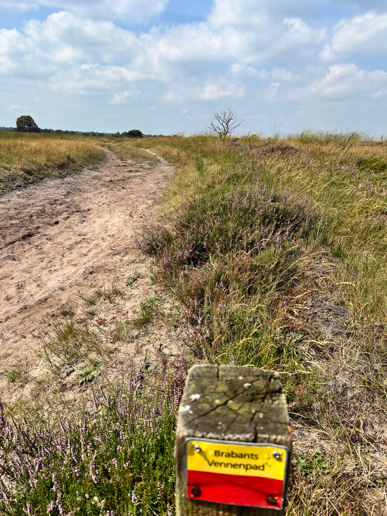 Oisterwijk - Boxtel · Brabants Vennenpad etappe 1