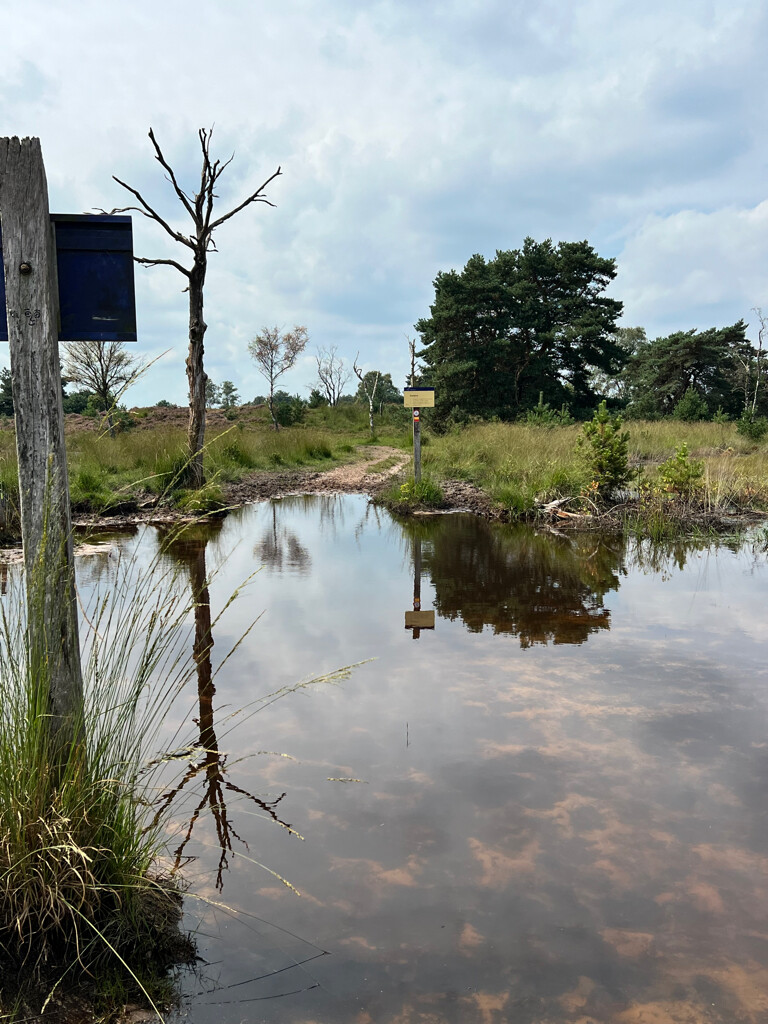Oisterwijk - Boxtel · Brabants Vennenpad etappe 1