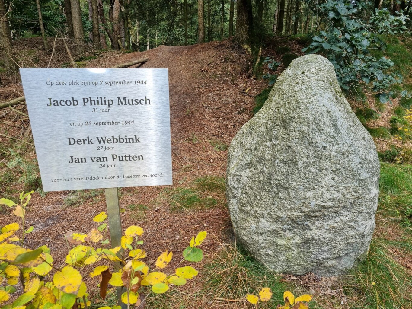 Steile Oever - Blauw