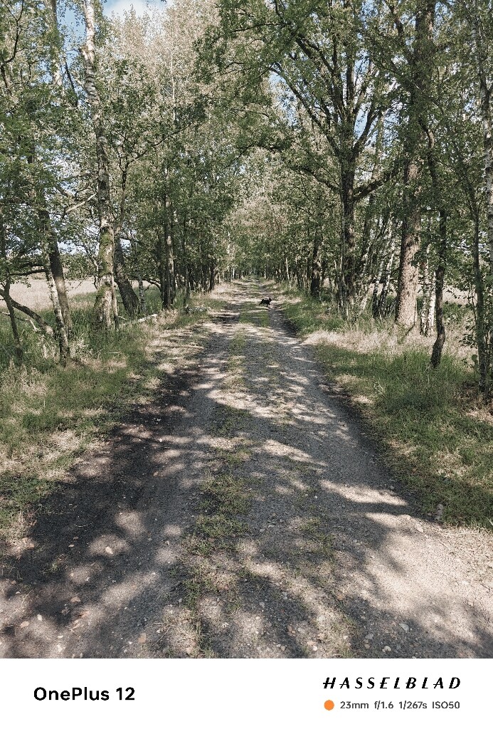 Boxtel - Sint-Oedenrode · Brabants Vennenpad etappe 2