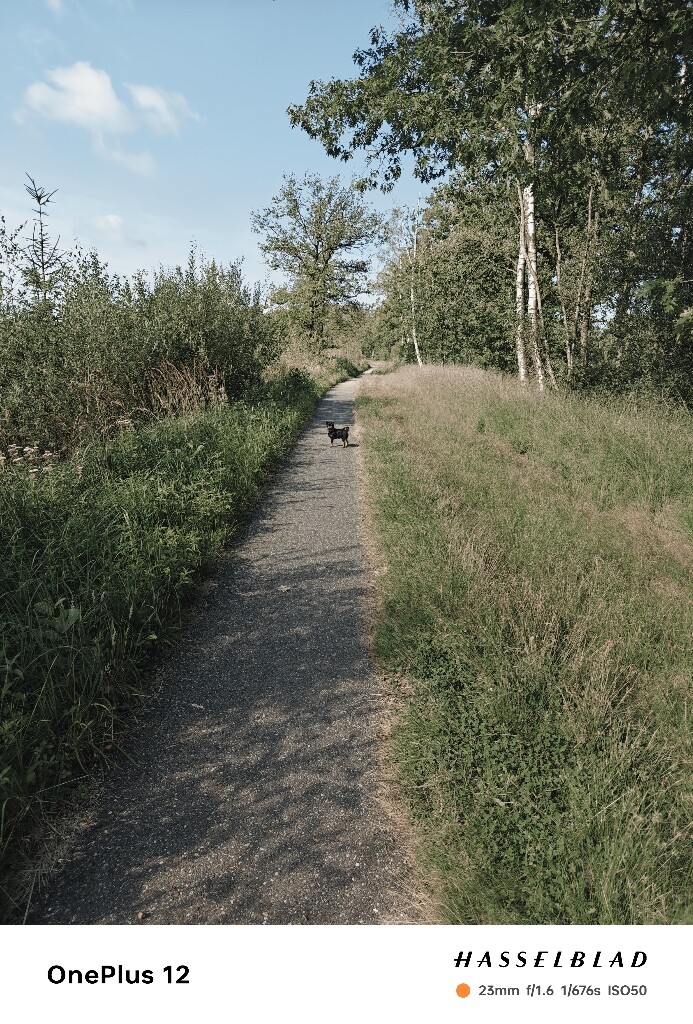 Soerendonk - Venbergse Molen · Brabants Vennenpad etappe 7