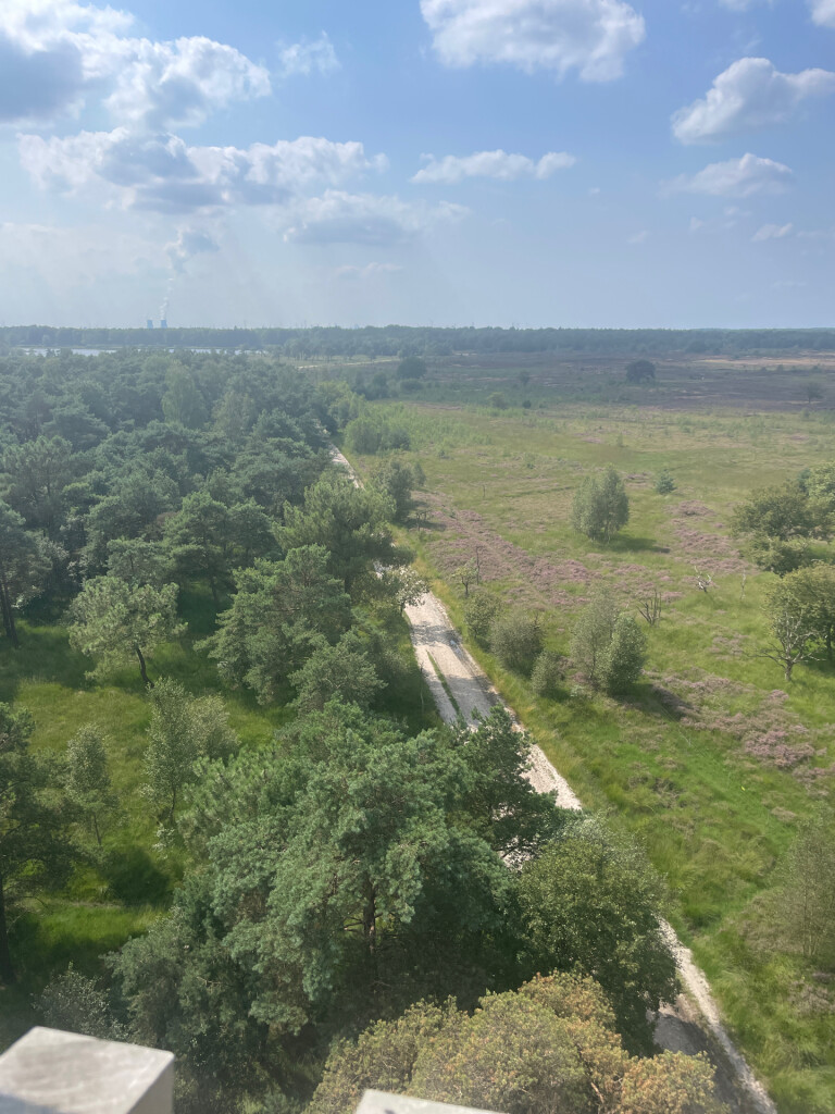 Kalmthoutse Heide - Ree