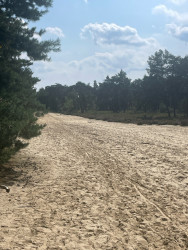 Kalmthoutse Heide - Ree