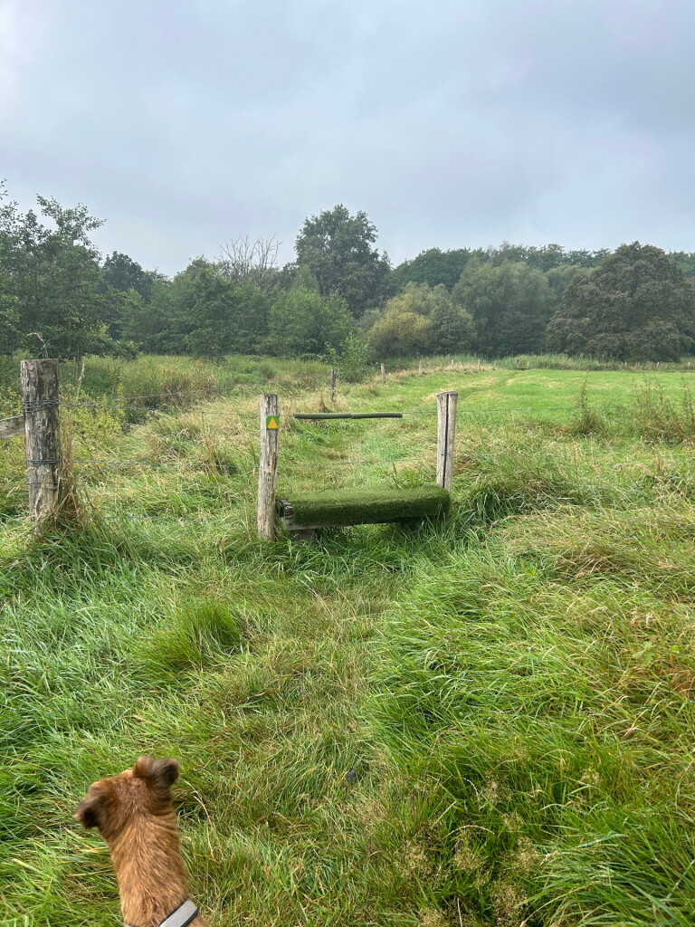 Venbergse Molen - Luyksgestel · Brabants Vennenpad etappe 8