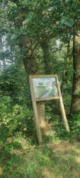 Dorpsommetje Spier