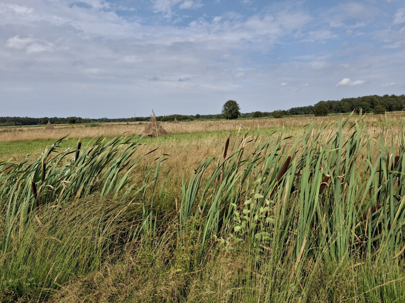 Flirten met de grens in de vallei van het Merkske