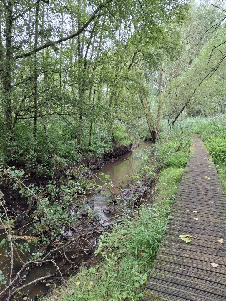 Flirten met de grens in de vallei van het Merkske