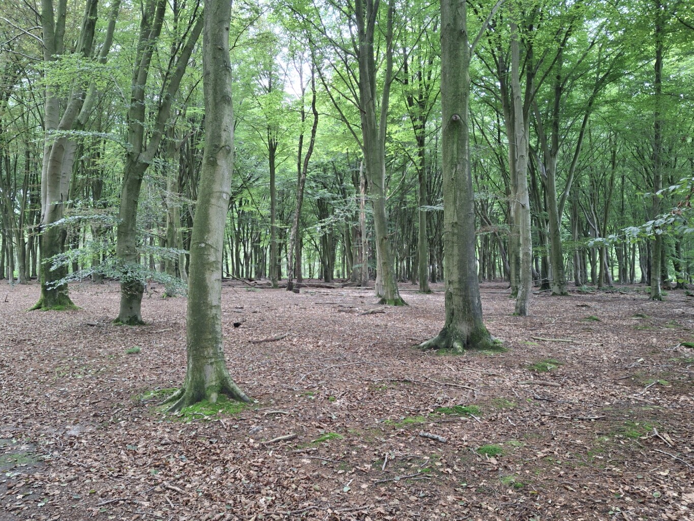 Flirten met de grens in de vallei van het Merkske