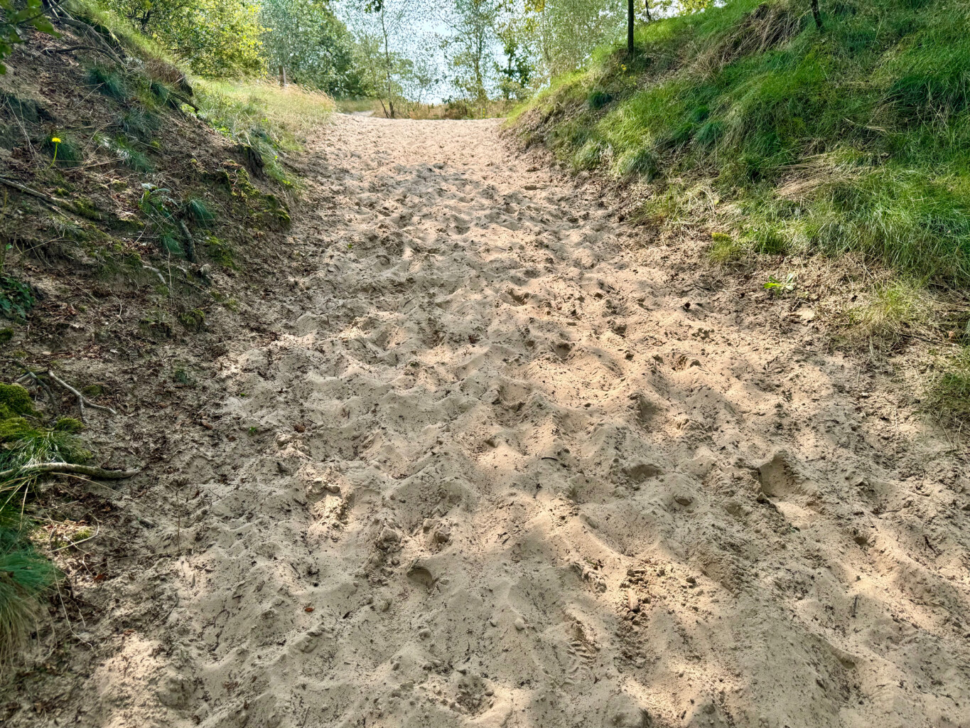 Drunen - Distelberg · Pelgrimspad etappe 11