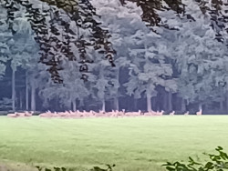 Speuldepad Ermelo