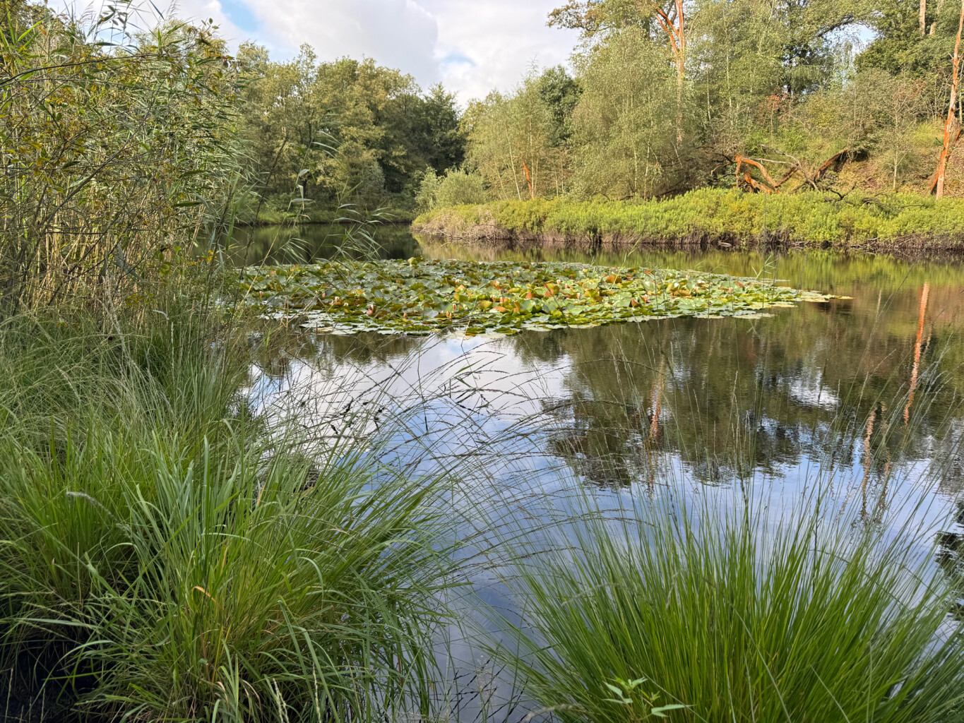 's-Hertogenbosch station - Haaren · Pelgrimspad etappe 13