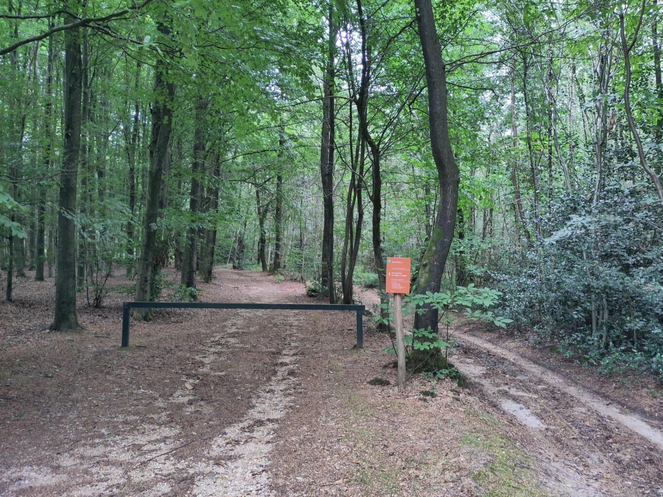 Vijlenerbosroute Elzetterbosch SBB32 Vaals