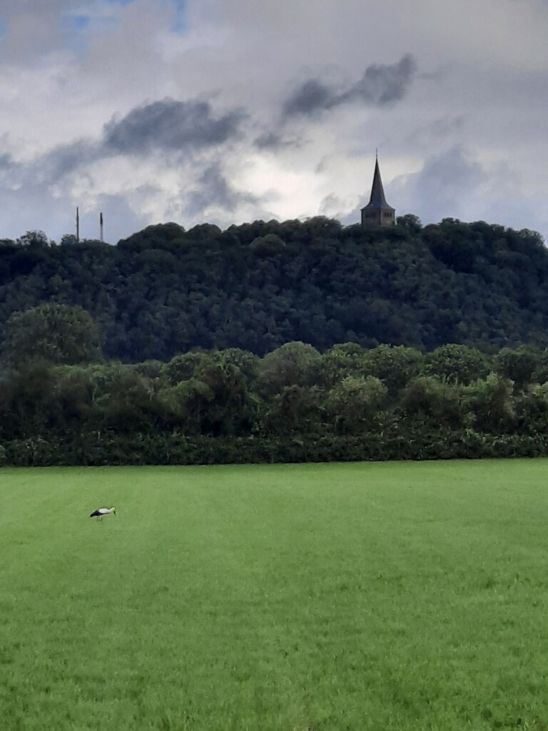 Terborg - Elten · Noaberpad etappe 21