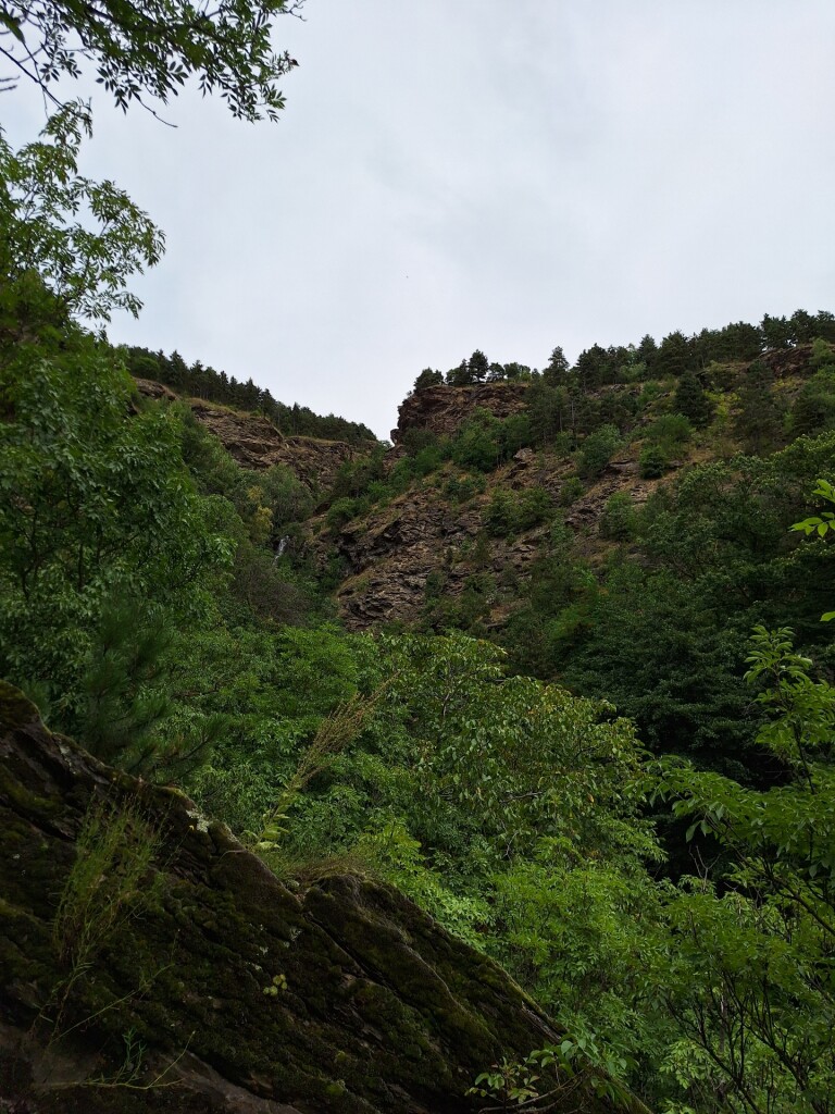 Appelgaarden in Süd Tirol