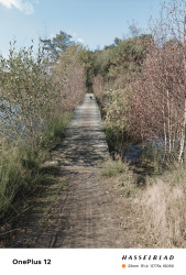 Heeze station - Soerendonk · Brabants Vennenpad etappe 6