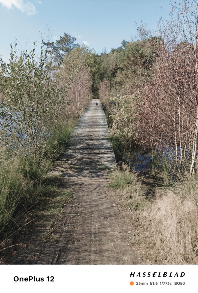 Heeze station - Soerendonk · Brabants Vennenpad etappe 6