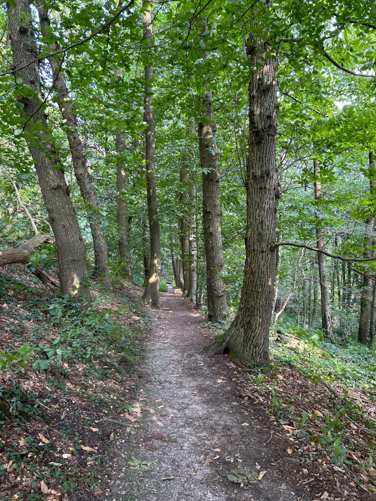 Walk of wisdom etappe 2