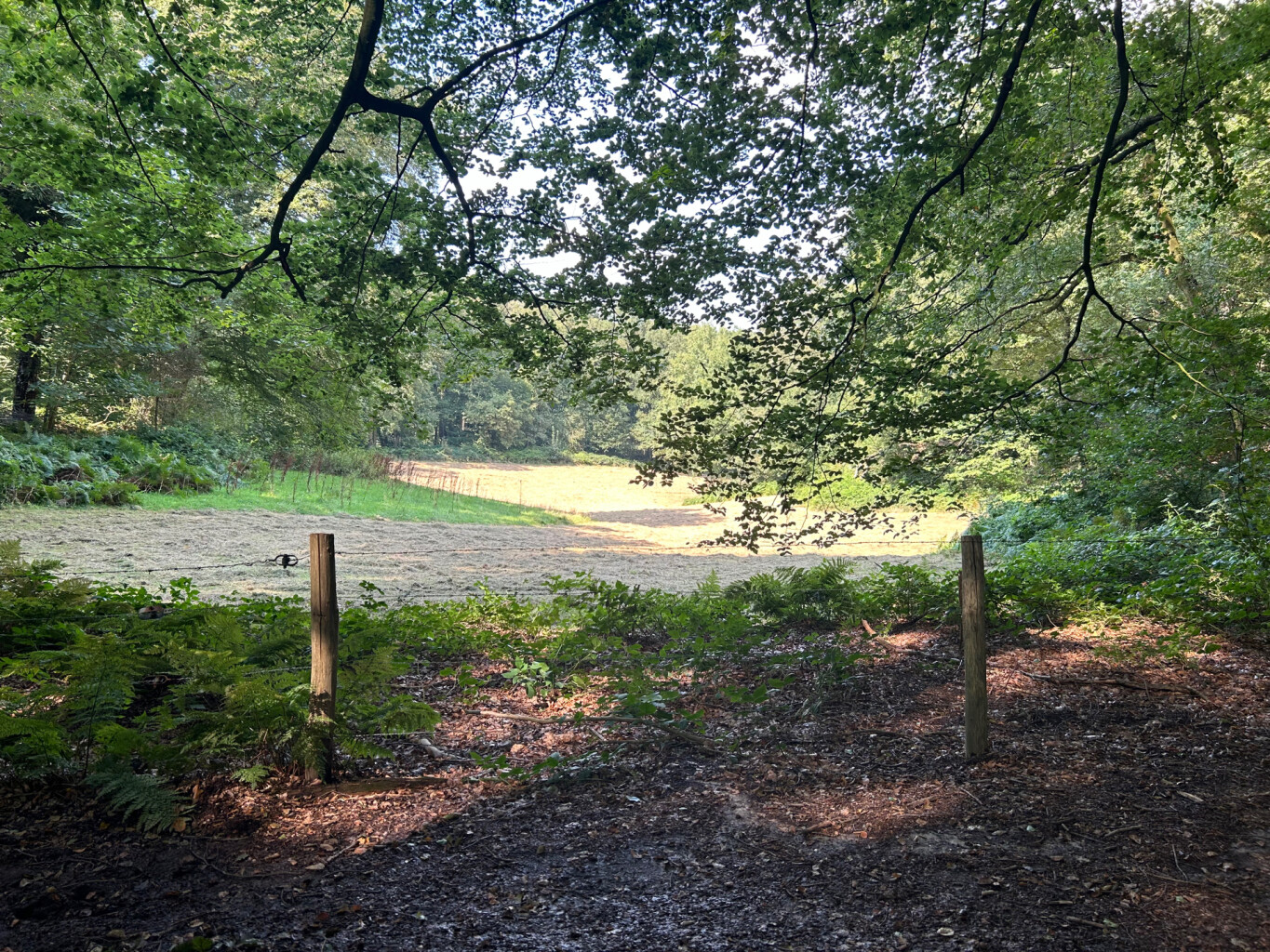 Walk of wisdom etappe 2