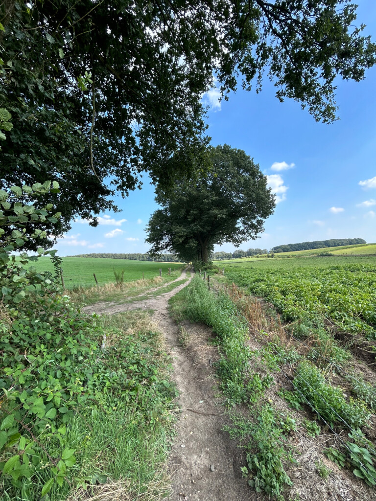 Walk of wisdom etappe 2