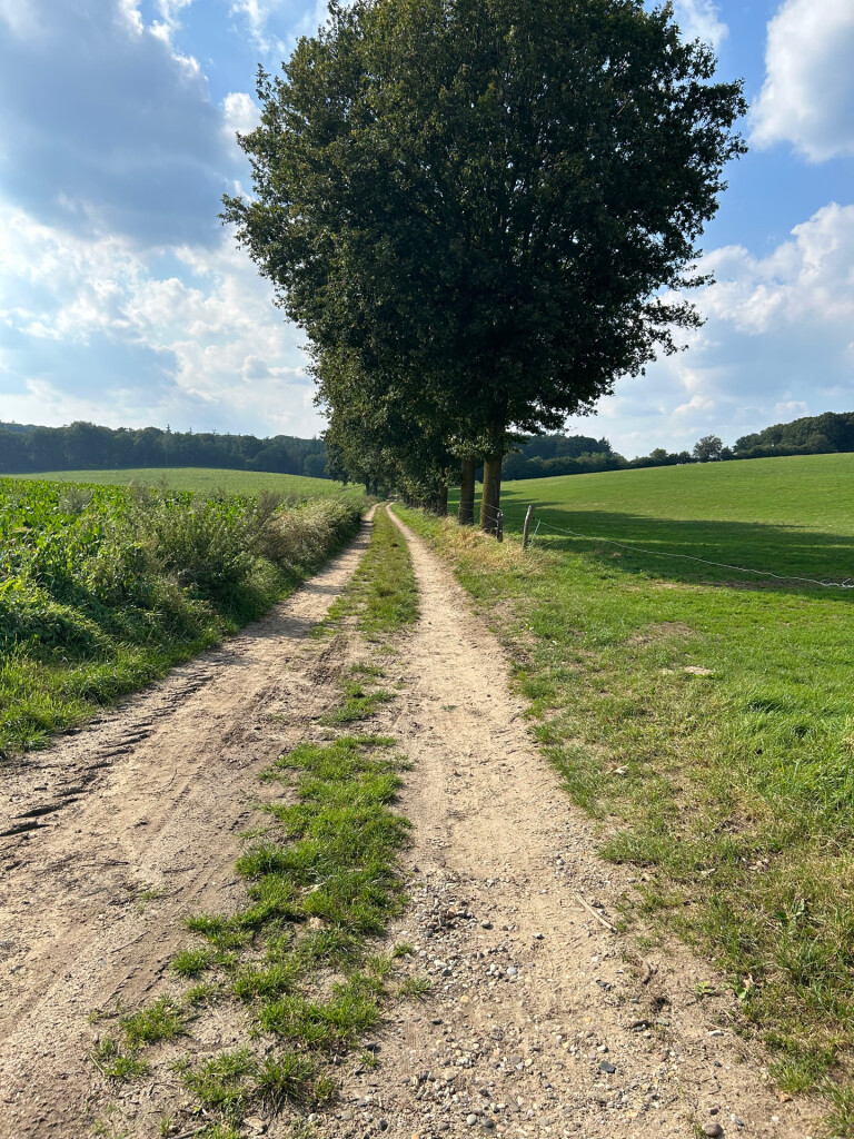 Walk of wisdom etappe 2